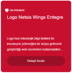 Logo Netsis Wings Entegre