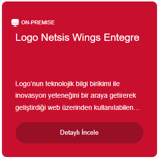 Logo Netsis Wings Entegre