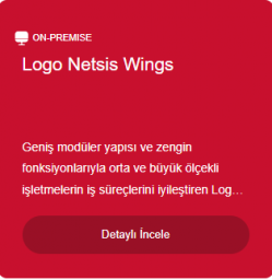 Logo Netsis Wings